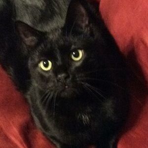 Meet your Posher, Joe